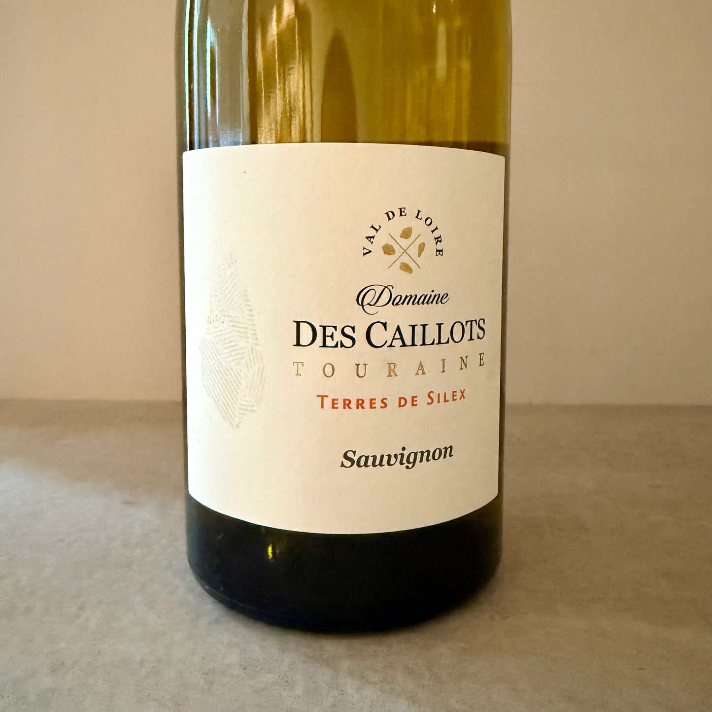 Domaine des Caillots Terres de Silex Sauvignon 2023