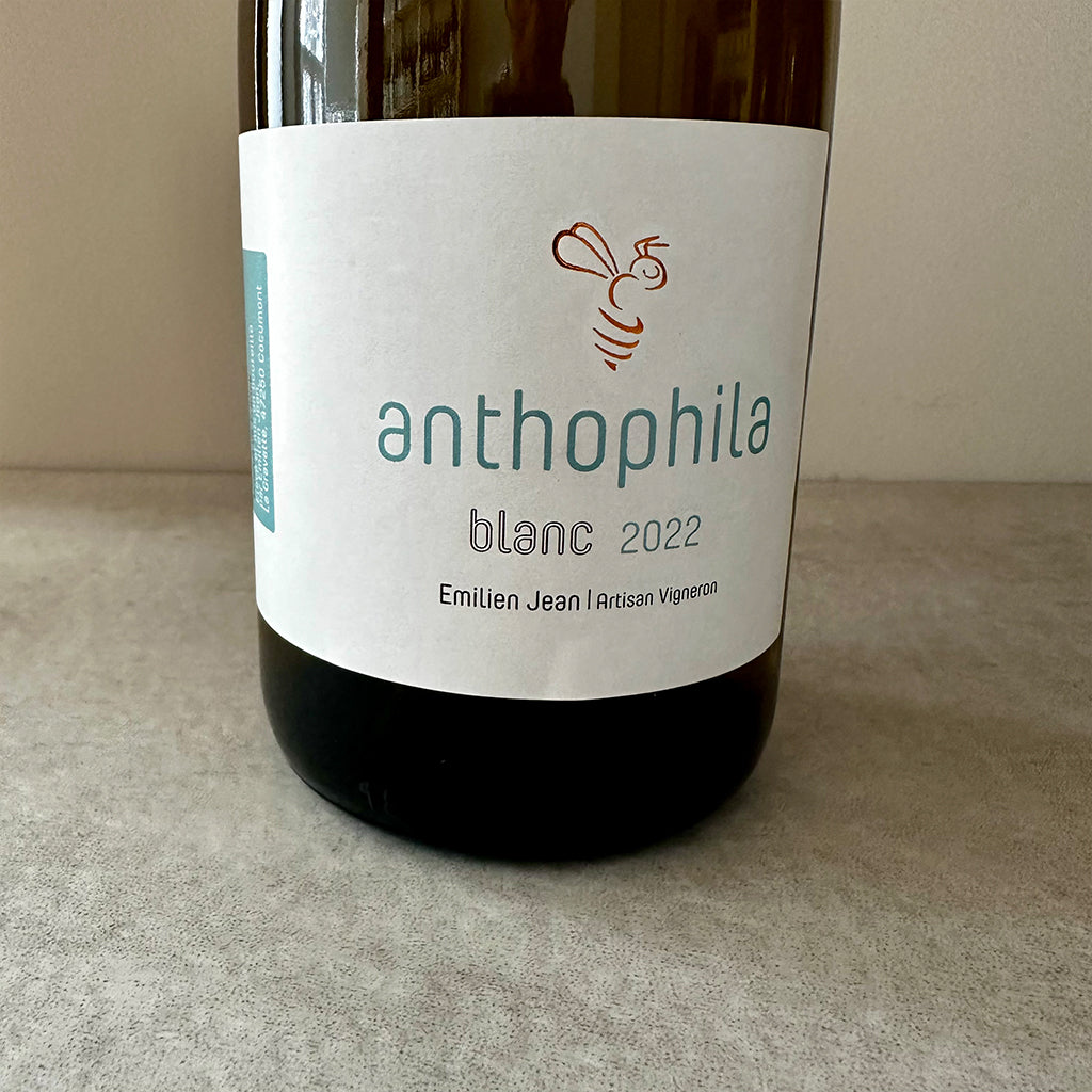Emilien Jean Anthophila Blanc 2022