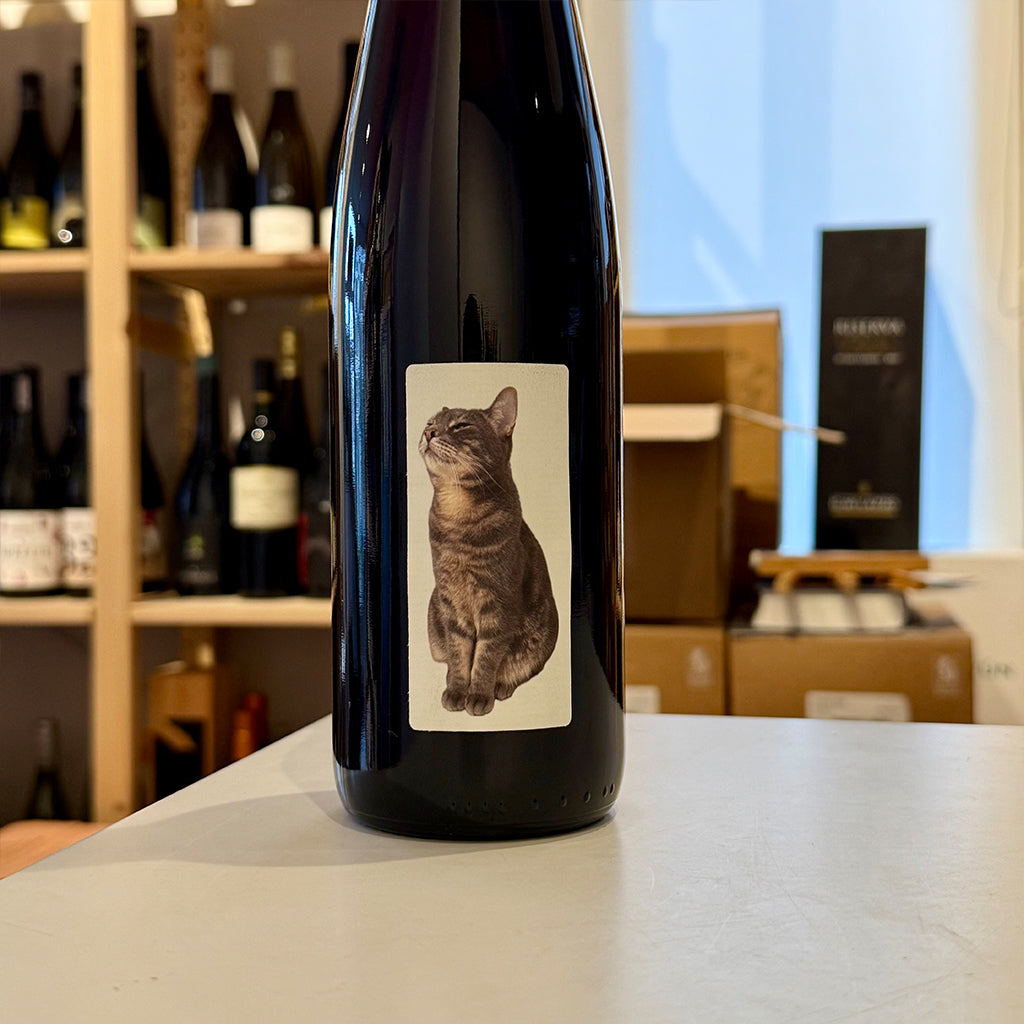 Kiedo Purr-not Noir 2020