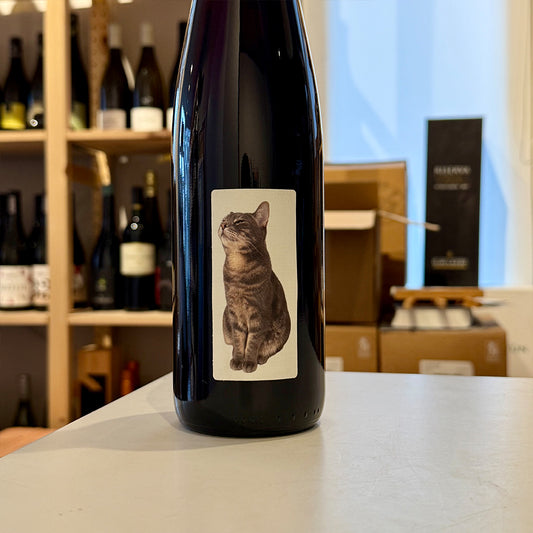 Kiedo Purr-not Noir 2020