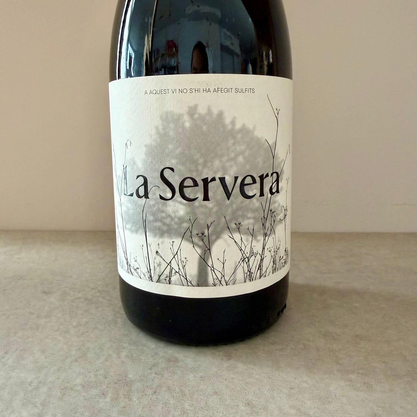 Vendrell Rived La Servera 2025